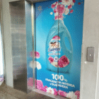 GRÁFICA DE ELEVADOR